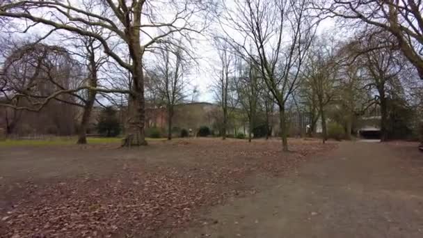 Фпв Людини Ходить Парку Цитадель Генті Бельгія — стокове відео