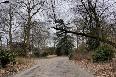Gent, Belçika 'daki Citadel Parkı' nın sabah manzarası.