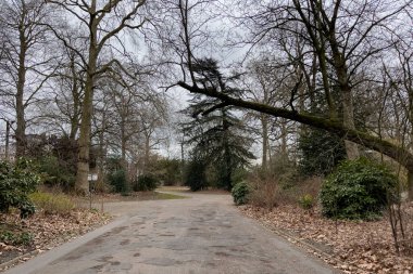 Gent, Belçika 'daki Citadel Parkı' nın sabah manzarası.