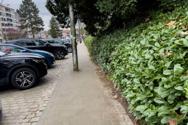 Ghent, Belçika 'da yol kenarına park edilmiş arabalar.