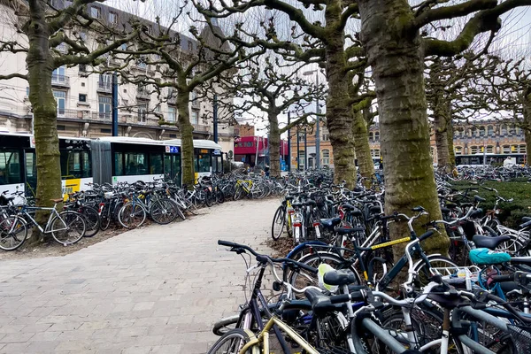 Masser Cykler Parkeret Nær Gent Sint Pieters Banegård Gent Belgien - Stock-foto