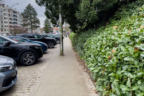 Αυτοκίνητα Παρκαρισμένα Στην Άκρη Του Δρόμου Στη Γάνδη Βέλγιο — Φωτογραφία Αρχείου