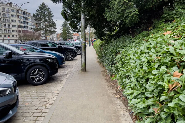 Автомобили Припаркованные Обочине Дороги Генте Бельгия — стоковое фото