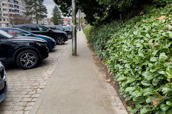 Автомобили Припаркованные Обочине Дороги Генте Бельгия — стоковое фото