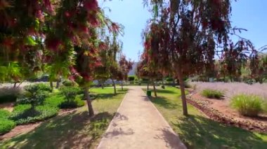 Çevresinde yeşil çimenler ve binalar olan boş bir halk parkı.