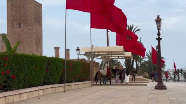モロッコのラバトにあるハサン塔のすぐ外で 王室の警備員と馬の上で写真を撮る観光客 — ストック動画
