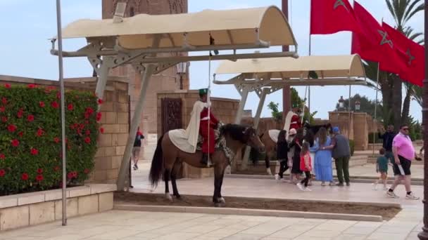 Turyści Robiący Zdjęcia Królewskimi Strażnikami Koniach Tuż Przed Świątynią Hassan — Wideo stockowe
