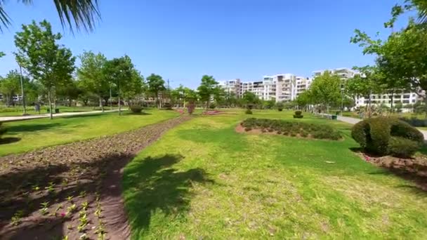 Порожній Громадський Парк Зеленою Травою Будівлями Навколо Нього — стокове відео