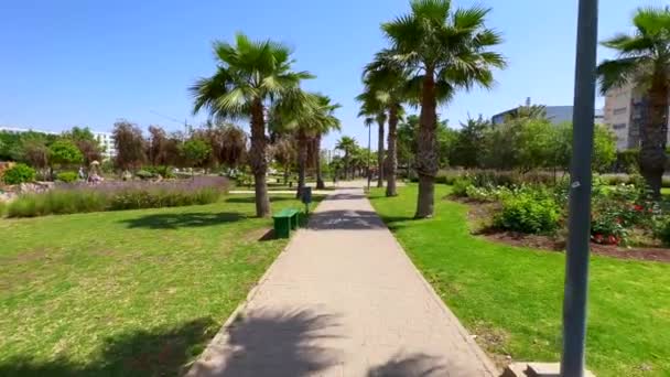 緑の芝生とその周辺の建物と空の公共公園 — ストック動画