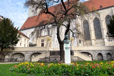 Bratislava, Slovakya 'daki St. Martin Katedrali