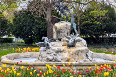 Slovakya, Bratislava 'daki Safarikovo Namestie' deki ördek çeşmesi.