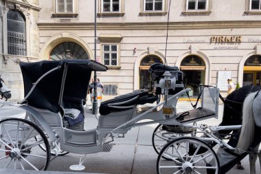 Viyana, Avusturya 'da sokakta at arabası.