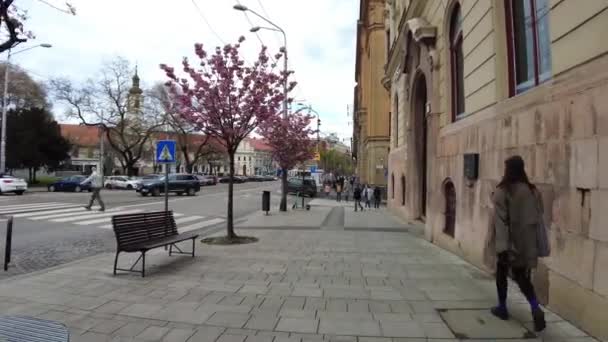 Pov Fuß Auf Dem Bürgersteig Bratislava Slowakei — Stockvideo