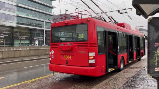 Rode Elektrische Trolley Bus Rijden Een Regenachtige Dag Bratislava Slowakije — Stockvideo