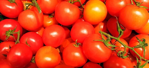 Many Bright Shiny Red Tomatoes Close Background — Stock Photo, Image