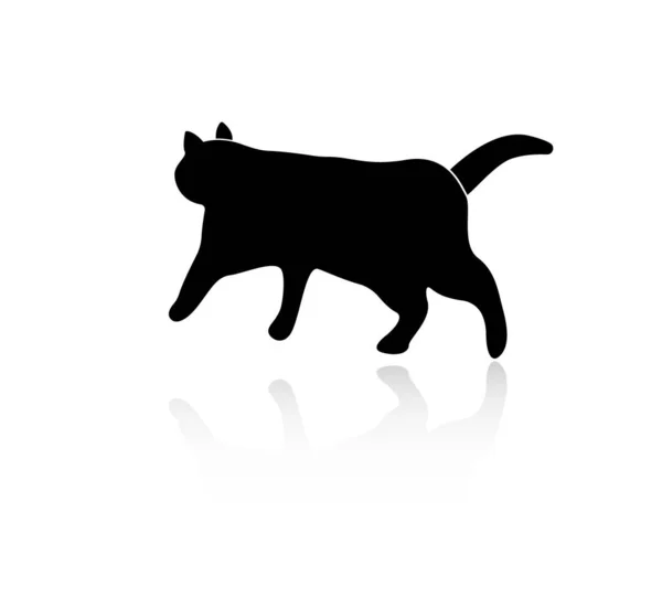 Silhouette Einer Laufenden Katze Mit Reflexion Isoliert Auf Weißem Hintergrund — Stockvektor