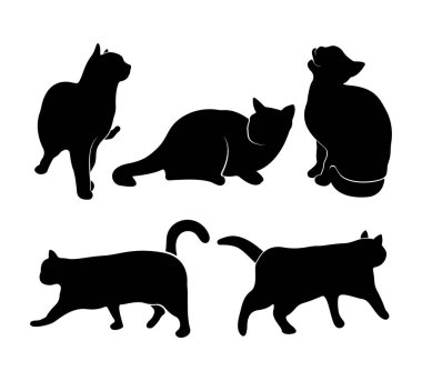 Farklı pozisyonlardaki kedi siluetleri. Yalan söylemek, oturmak, ayakta durmak ve koşmak. Siyah iz beyaz arkaplanda izole edilmiş. Ayarla.