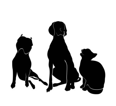 Köpek ve kedi siluetleri. Beyaz arka planda oturan Amerikan Staffordshire Teriyeri, Pitbull, Weimaraner ve kedisi.