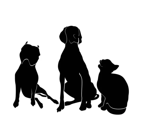 Silhouettes Dogs Cat Sitting American Staffordshire Terrier Pitbull Weimaraner Cat — Stock Vector