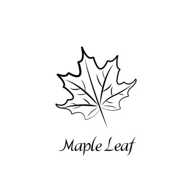 Vector illustration of maple leaf. Natural print isolated on white background. Black silhouette outline with inscription, description. clipart