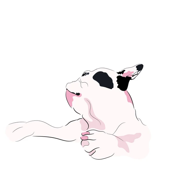 Franse Bulldog Vector Illustratie Handgetekende Hond Sticker Geïsoleerd Witte Achtergrond — Stockvector