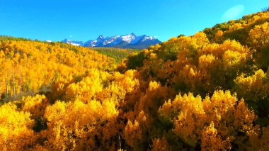 Güzel sonbahar manzarası. Doğa, seyahat