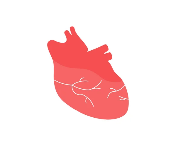 具有动脉和主动脉标志设计的现实的人类心脏器官 解剖人的心脏轮廓 健康医学概念 心脏科 心脏科病媒设计及图解 — 图库矢量图片