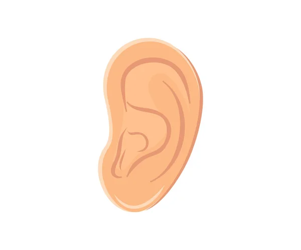 人类耳朵上的白色背景标志设计 听图标听感觉音频 听觉器官和平衡矢量的设计和说明 — 图库矢量图片
