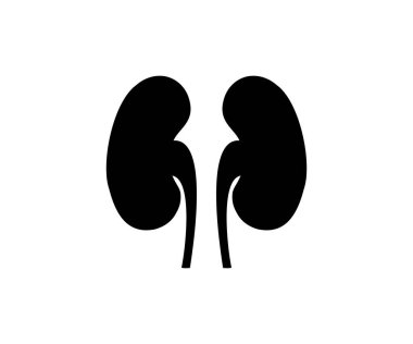 Böbrek ikonu. İç organlar vektör tasarımı ve illüstrasyonu ile siluet. 