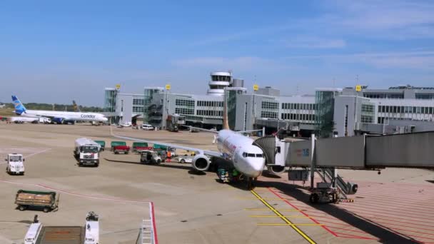 Bandar Udara Dusseldorf Pekerja Menarik Bagasi Dari Pesawat Penumpang Langit — Stok Video