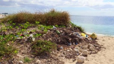 Plastikten bir yığın çöp, sahilde şişeler. Çevre kirliliği. Ekoloji, doğa, çöp, kirlilik, koruma, temizlik, geri dönüşüm, bakım, plastik, çöp, çöp konsepti