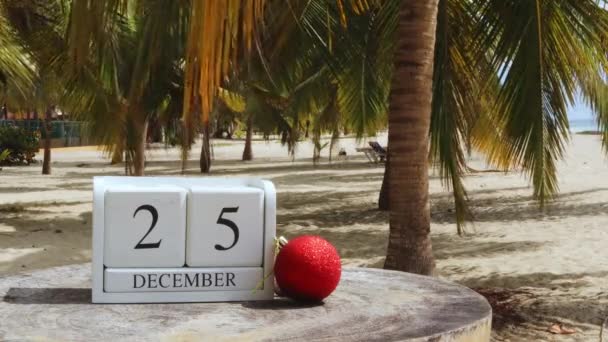 Noel Zamanı Aralık Beyaz Bir Takvimde Sahildeki Palmiye Ağacında Bir — Stok video