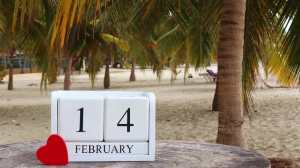 Día San Valentín Febrero Calendario Madera Blanca Corazón Palmera Playa — Vídeo de stock