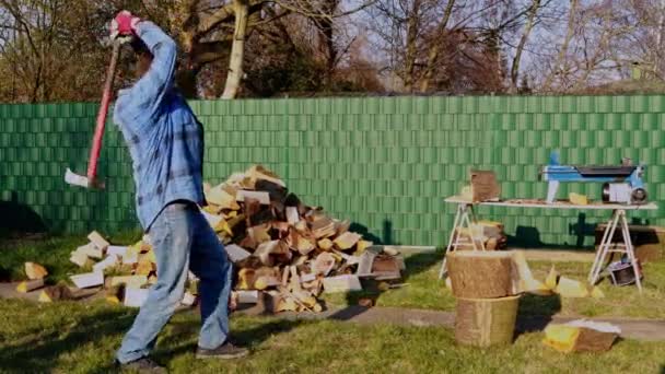 斧を持った男が木を切り刻む 薪の山が背景にある ライフスタイル 生態系 エネルギー 材料の概念 — ストック動画