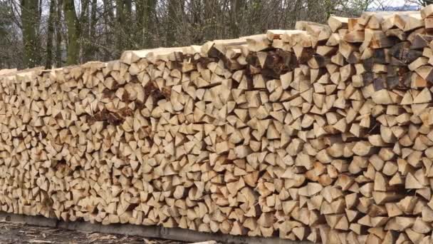 Uma Pilha Lenha Picada Empilhada Livre Conceito Árvore Colheita Inverno — Vídeo de Stock