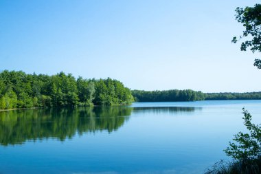 Gölün manzarası sakindir, ağaçlar yeşildir ve mavi gökyüzü. Doğa, çevre, turizm, dinlenme, rahatlama, meditasyon, temiz hava, yürüyüş, bakım, ekoloji, su kaynakları, su kaynakları kavramı