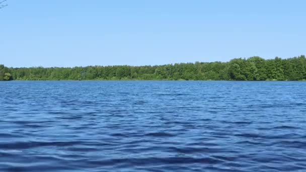 Lago Paisagem Ondas Água Árvores São Verdes Céu Azul Conceito — Vídeo de Stock