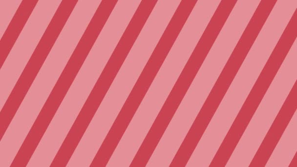 Pink Abstract Line Background Love Valentine Day Concept — Stockvideo