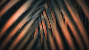 Altın yeşili palmiye yapraklı arka plan. Doğa Arkaplanı. Makro Fotoğrafçılık. Yakın çekim.