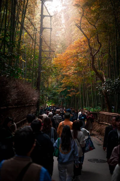 Kyoto Japan December 2023 Crowd Tourist Walking Bamboo Trail Arashiyama — Stock Photo, Image