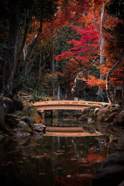 Beautiful Autumn Scenery Small Bridge River Nara Park Japan — Stock Photo, Image