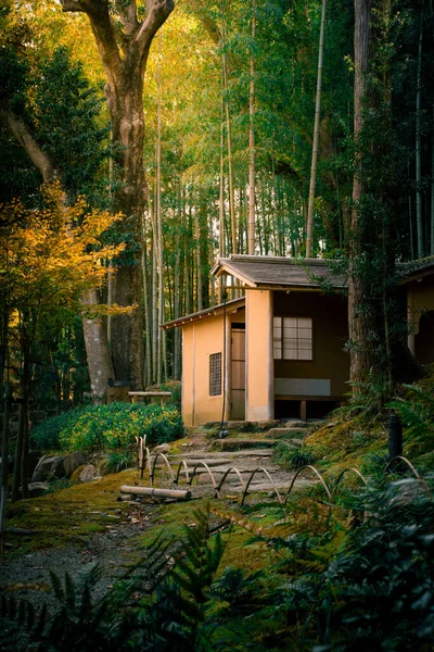 Small Cottage Surrounded Green Forest Nara Park Japan — Stock Photo, Image