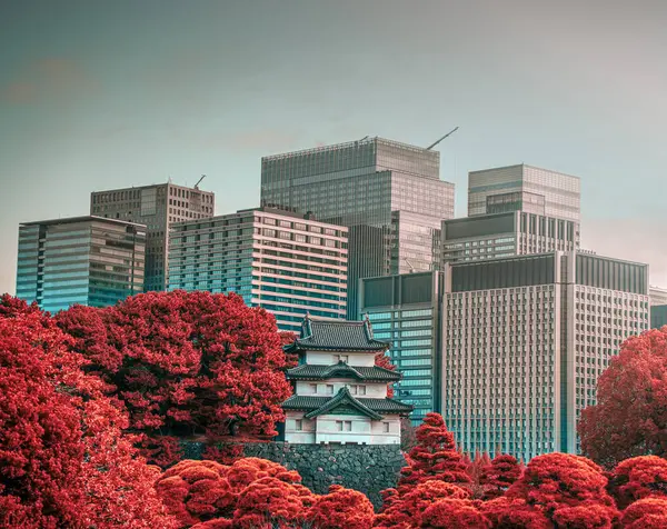 Tokyo Imperial Palace Surrounded Autumn Trees Modern Building Backgrounds — Stock Photo, Image