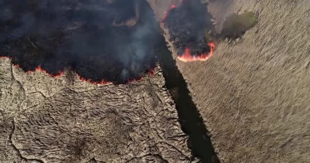 大火在干燥的田野中燃烧的空中镜头 — 图库视频影像