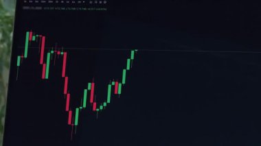 Bir dizüstü bilgisayarda sergilenen borsa grafiğinin yakın plan görüntüsü