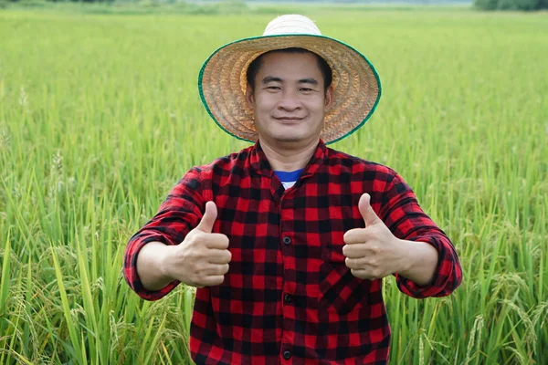 Handsome Asian man farmer is at paddy field, wears hat, red plaid shirt, thumbs up. Concept : Agriculture occupation. Thai farmer. Organic farming.