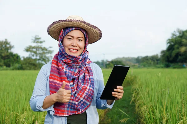 Šťastná Asijka Farmářka Poli Nosí Klobouk Thajská Bederní Rouška Zakryla — Stock fotografie