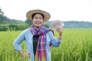 Asyalı çiftçi kadın çeltik tarlasında, Tayland paralarını elinde tutuyor. Çiftçi, kar, gelir ve tarımla para kazanmaktan mutlu. Ekinlerle gurur duyuyorum..          