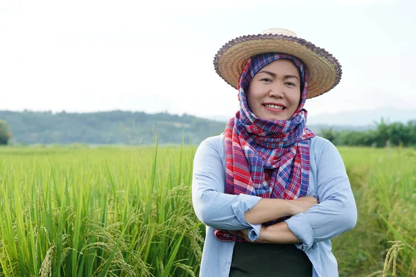 Happy Asian woman farmer is at paddy field, wears hat and cross arms on chest, feels confident. Concept : Agriculture occupation. Organic farming. Thai farmer.