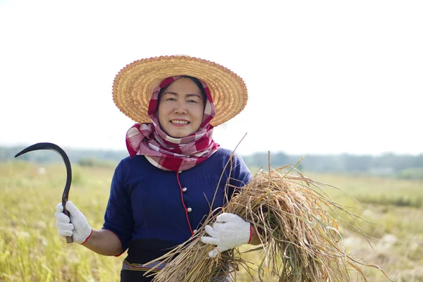 Asian Female Farmer Wear Hat Thai Loincloth Covered Her Head — Foto de Stock